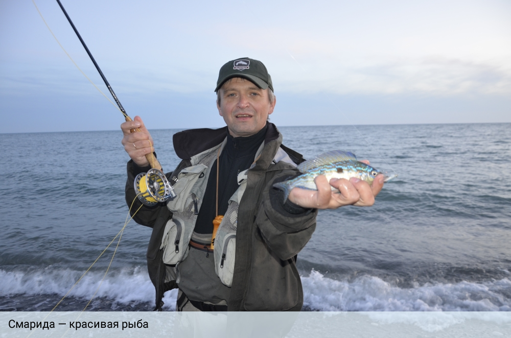 рыбалка нахлыстом на черном море