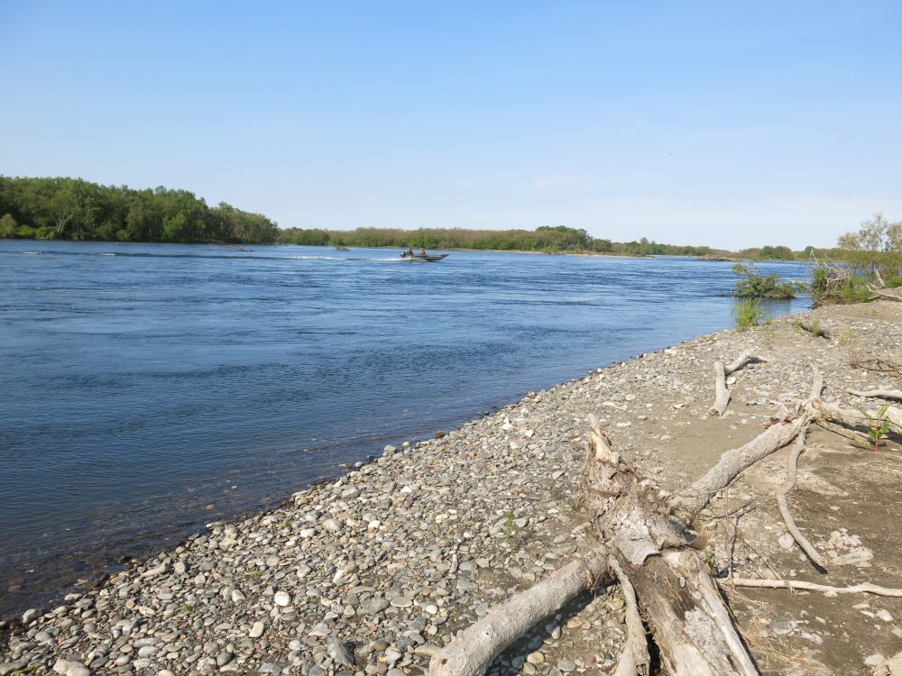 Русло реки Большой с сильным течением – то, что нам нужно