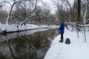 Зимний поиск белого хищника на малой реке в мегаполисе