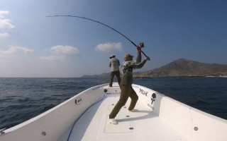 Южный Оман: поймать рыбу за 10 тысяч забросов